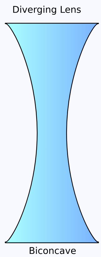 <p>Cause parallel light rays to diverge and move apart</p><p>They curve inwards in a hourglass shape</p>