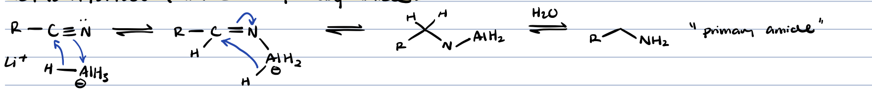 <p>primary amide</p>