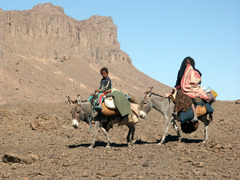 <p>A person with no permanent home, who moves in search of food.</p>