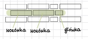 <p>2x wozówka i główka; Zamek krzyżacki w Malborku </p>