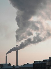 <p>Burning of fossil fuels (primarily in cars and power plants) to release energy</p><p>Releases carbon dioxide into the atmosphere very rapidly, acting as a carbon source</p>