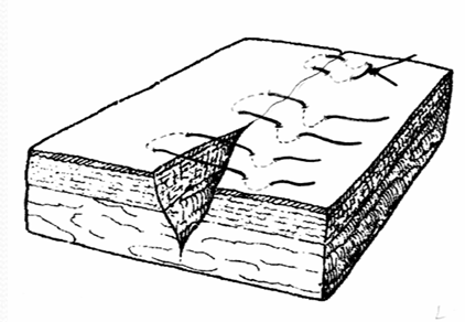 term image