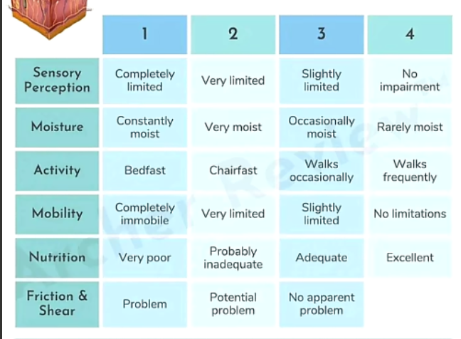 <p>braden scale</p>
