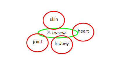 <p>DIAGRAM ON SLIDE 20</p>