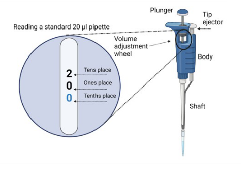 <p>Micropipette</p>