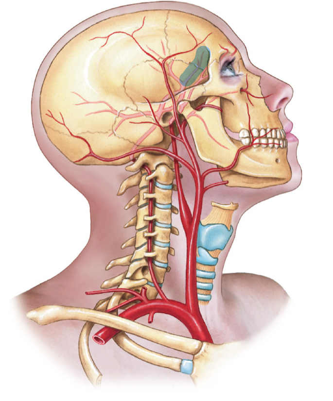<p>diagram </p>