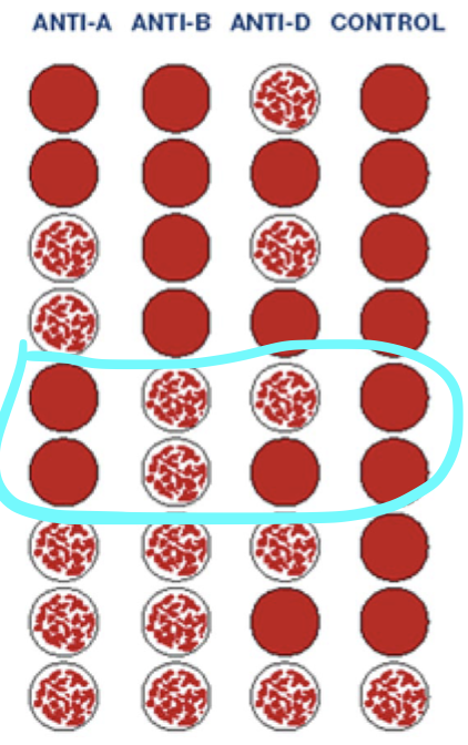 <p></p>
