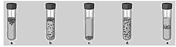 <p>Which tube shows growth for a microaerophile</p>