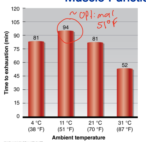 <p>Describe the relationship between heat and fatigue?</p>
