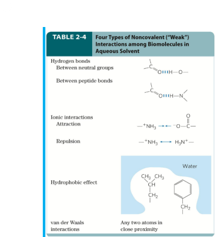 <p><strong><u>Noncovalent Interactions </u></strong></p><ul><li><p><span style="color: blue;"><strong>Hydrophobic Interactions (displacement of water)</strong></span></p><ul><li><p>0.4-4 kJ/mol</p></li></ul></li><li><p><span style="color: blue;"><strong>Pi stacking (aromatic ring stacking)</strong></span></p><ul><li><p>0.4-4 kJ/mol</p></li></ul></li><li><p><span style="color: blue;"><strong>Van der Waals interactions (weak but many) </strong></span></p><ul><li><p>0.4-4 kJ/mol</p></li></ul></li><li><p><span style="color: blue;"><strong>Hydrogen Bond</strong></span></p><ul><li><p>4-40 kJ/mol</p></li></ul></li><li><p><span style="color: blue;"><strong>Electrostatic (opposite attract, likes repel) </strong></span></p><ul><li><p>4-40 kJ/mol</p></li></ul></li><li><p><span style="color: blue;"><strong>Salt bridge (hydrogen bonding plus electrostatic)</strong></span></p><ul><li><p>e.g. carboxylate amino side-chain (Asp, Glu) to basic amino side-chain (Arg, Lys)</p><ul><li><p>40-400 kJ/mol</p></li></ul></li></ul></li></ul><p><strong>**Electrostatic and Salt Bridge are specifically between ___ molecules </strong></p>