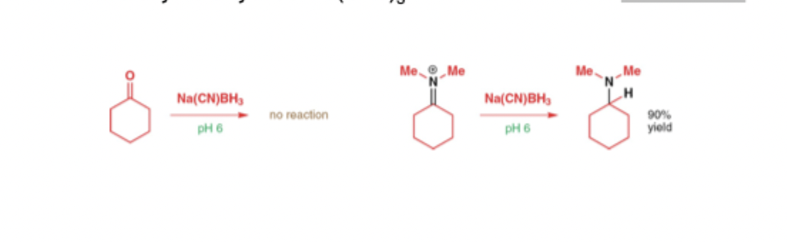 <p>Ammonium ion reduce to amines</p><p></p><p></p><p></p>