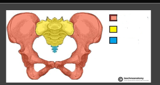 <p>what is yellow?</p>