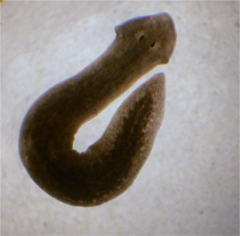 <p>What is this?</p>