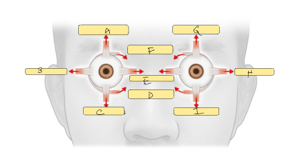 <p>c</p>