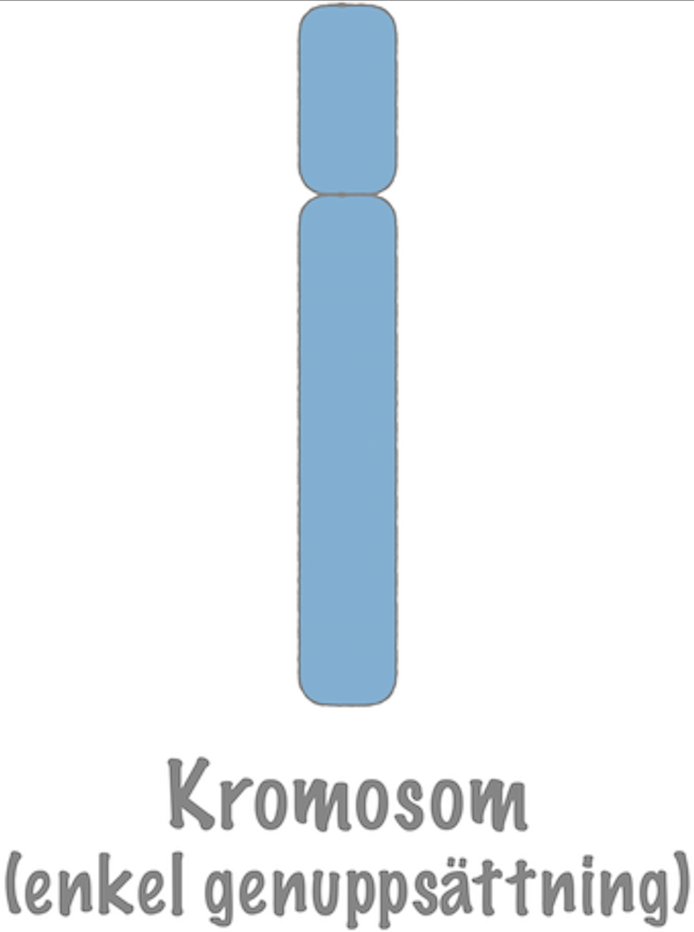 <p>Enkel genuppsättning </p>