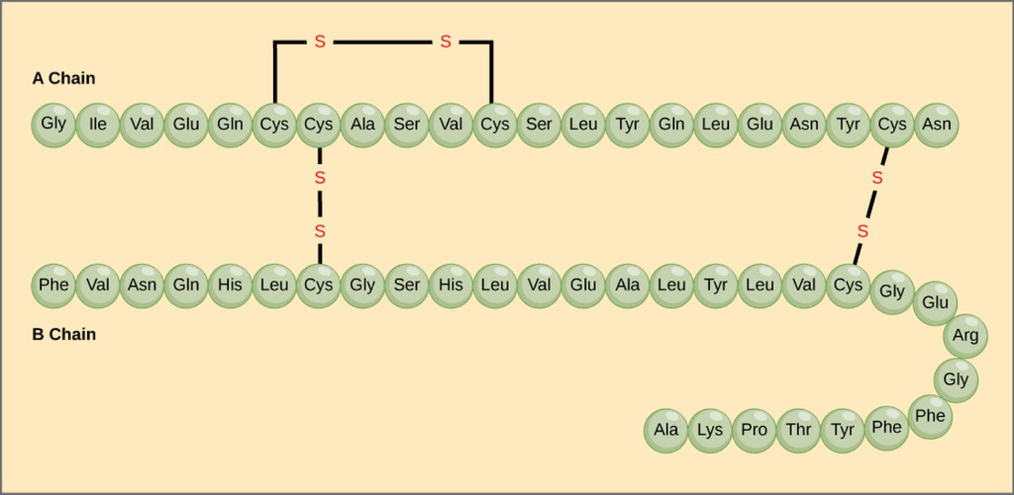 <p>simple</p>