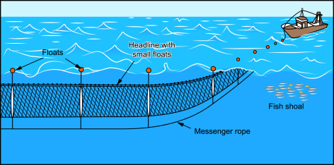 <p>Longline fishing </p>