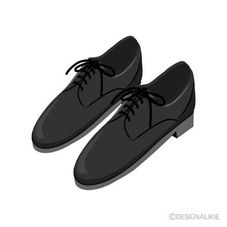 <p>une paire de chaussures</p>
