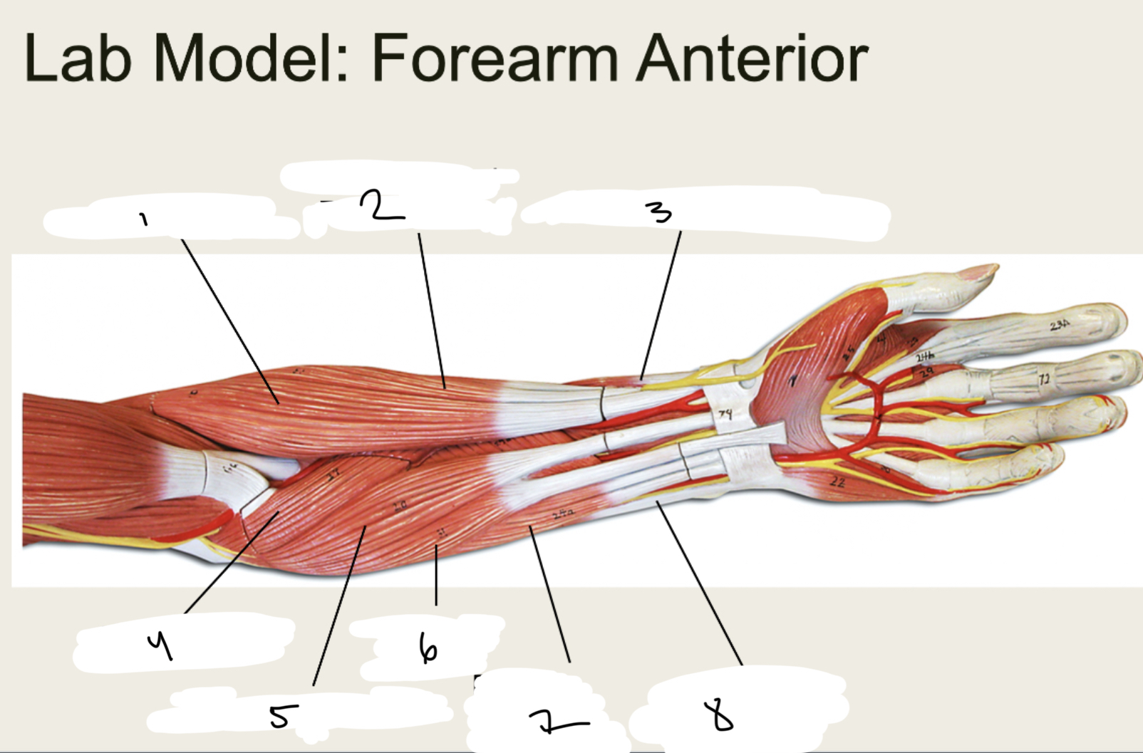 <p>1.XX</p><p>2.XX</p><p>3.XX</p><p>4.XX</p><p>5.XX</p><p>6.XX</p><p>7.XX</p><p>8.XX</p>