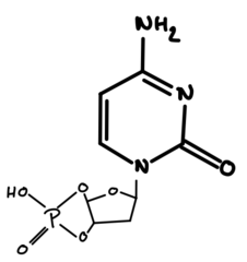 knowt flashcard image