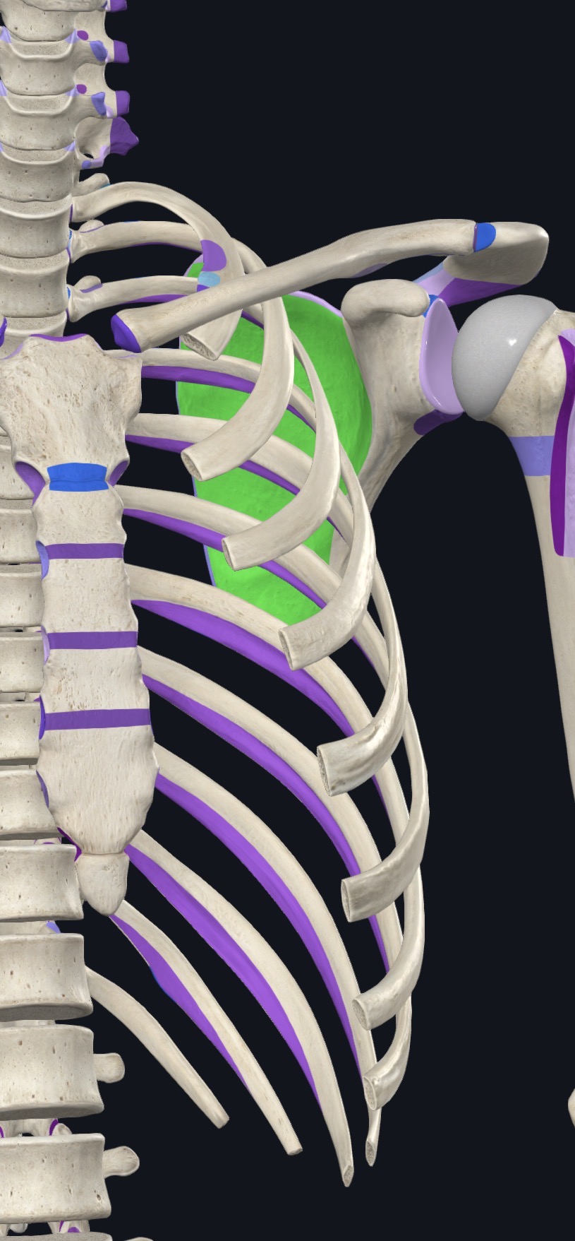 <p>what is this?</p>