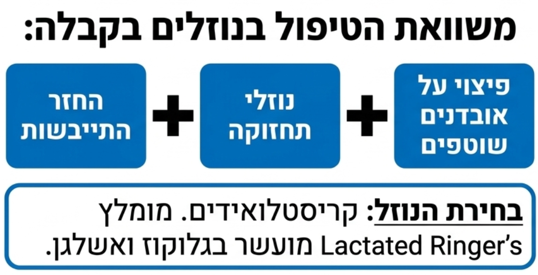 <ul><li><p><strong>שלב א' (בקבלה):</strong> מתן נוזלים קריסטלואידיים (כגון לקטט רינגר המועשר בגלוקוז ובאשלגן) המחושב להחזרת נוזלים  + נוזלי תחזוקה + אובדנים שוטפים.</p></li><li><p><strong>שלב ב' (לאחר ייצוב):</strong> ברגע שהושגה רוויה והחזרת הנוזלים הושלמה, עוברים למתן נוזלי תחזוקה יחד עם פיצוי על אובדנים שוטפים בלבד.</p></li><li><p><strong>טיפול אנטיביוטי:</strong> מתחיל באופן מיידי בטווח רחב  המכוון נגד חיידקי גרם-חיובי וגרם-שלילי כאחד (למניעת אלח דם עקב הפגיעה במחסום המעי)</p></li></ul><p><br></p>