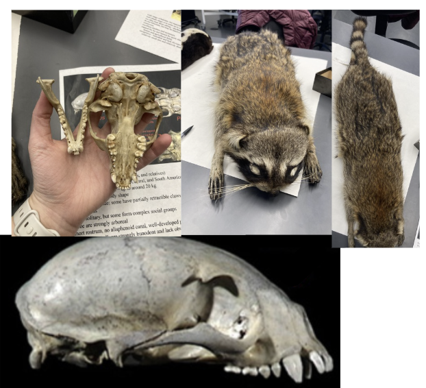 <p>What is this?</p>