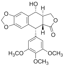 <p>podofyllotoxine</p>