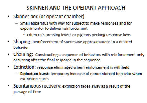 <p><strong>Skinner Box (Operant Chamber)</strong></p>