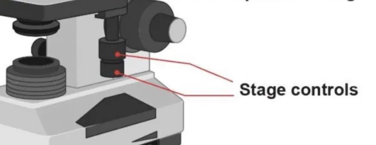 <p>The knobs that move the slide, and they help move it left, right, forward, or backward.</p>