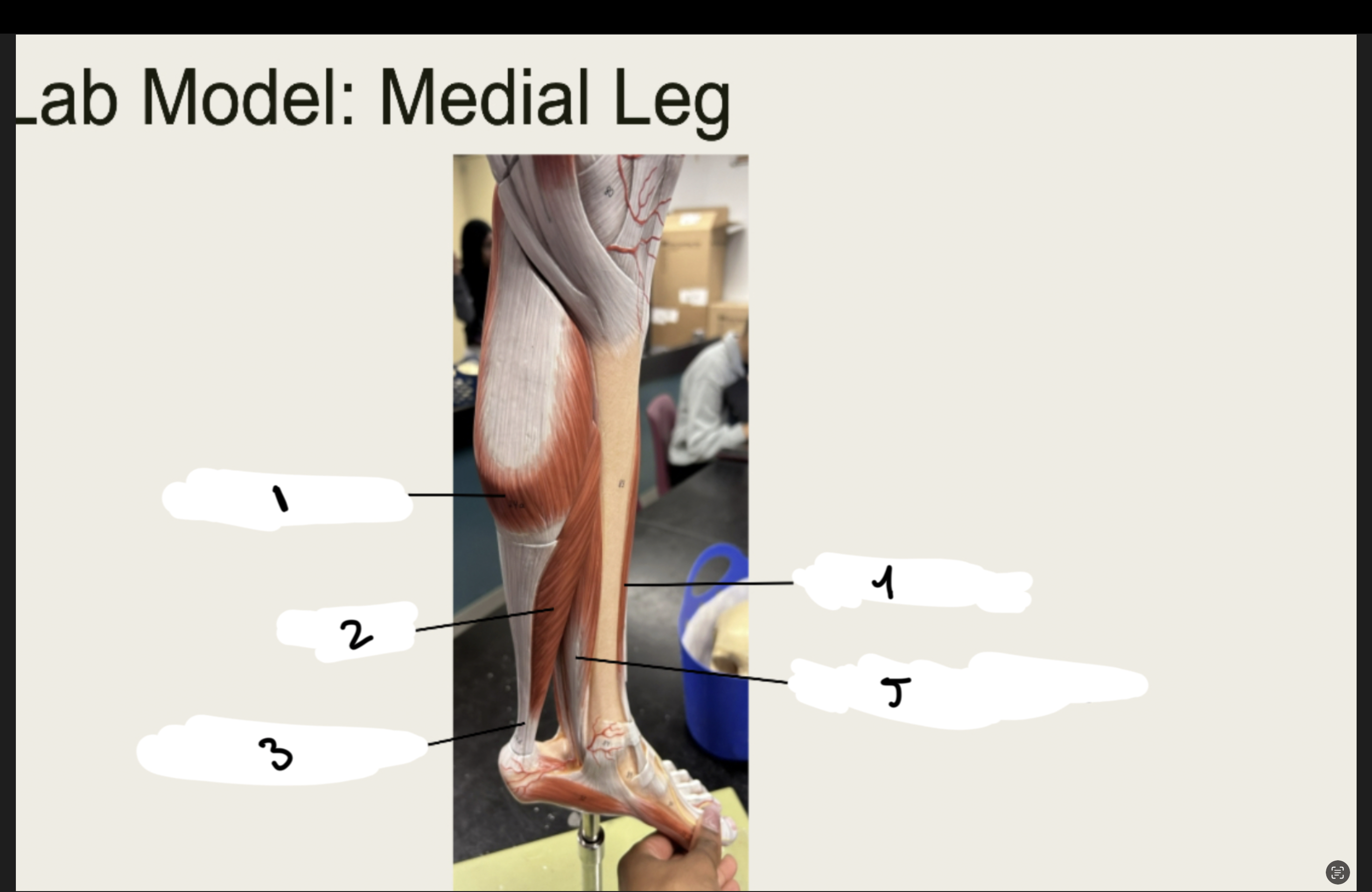 <p>1.XX</p><p>2.XX</p><p>3.XX</p><p>4.XX</p><p>5.XX</p>