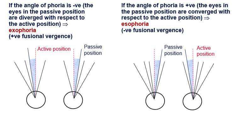 <p>the angle the eyes move. </p><p>If angle of phoria is -ve (the eyes in the passive position are diverged in respect to the active position) —> <strong>exophoria </strong>(+ve fusional vergence) </p><p>If angle of phoria is +ve (the eyes in the passive position are converged in respect to the active position) —> <strong>esophoria </strong>(-ve fusional vergence) </p><p></p>