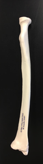 <p>right or left?</p>