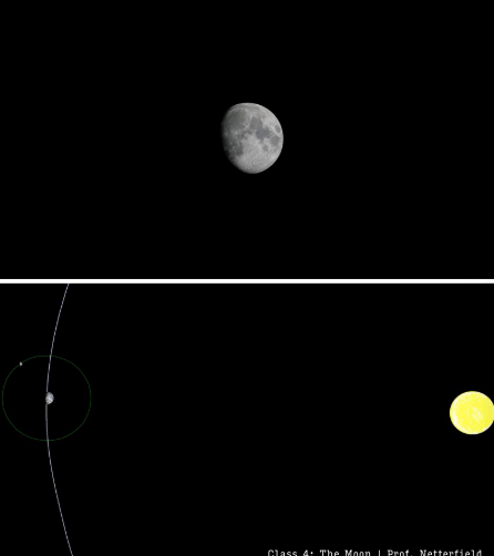 <ul><li><p><span style="background-color: transparent;">10-11 days after the new moon </span></p></li><li><p><span style="background-color: transparent;">Transits 9 hours after sun does</span></p></li><li><p><span style="background-color: transparent;">Rise 9 hours after sun</span></p></li><li><p><span style="background-color: transparent;">Sets 9 hours after sun</span></p></li><li><p><span style="background-color: transparent;">Easiest to see at night - may set before sunrise</span></p></li></ul><p></p>