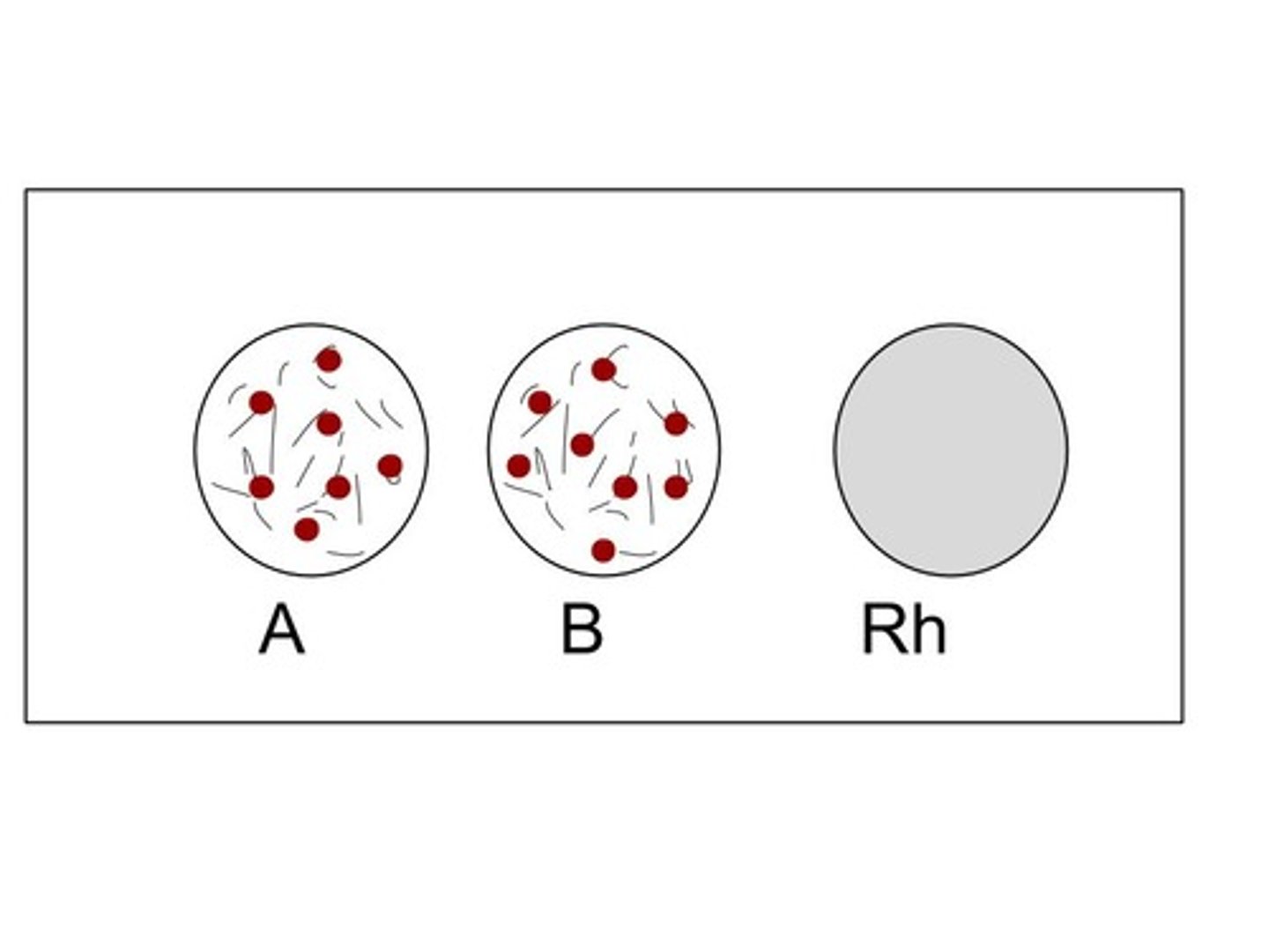 <p>AB-</p>