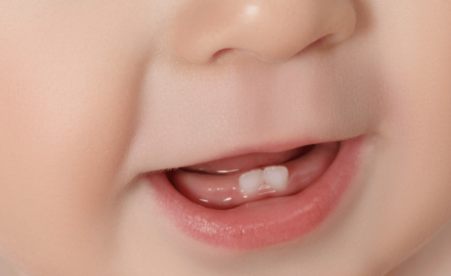 <p>- usually begins around age <strong>3 or 4 months</strong></p><p>- By the first birthday, babies have generally have <strong>six </strong>to <strong>eight </strong>teeth.</p>