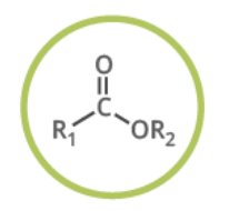<p>Name this functional group</p>