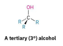 <p>The OH-bearing carbon is attached to <strong>three</strong> carbons.</p>