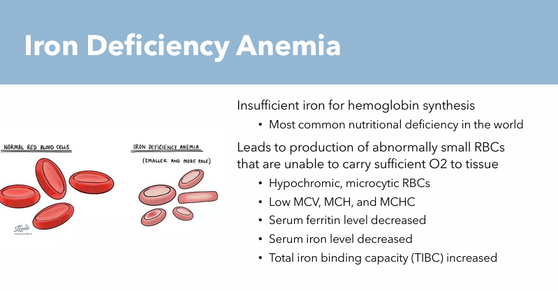 <p>Insufficient iron for hemoglobin synthesis</p><ul><li><p>Abnormally small RBCs unable to carry sufficient O2 to tissues</p></li></ul><p></p>