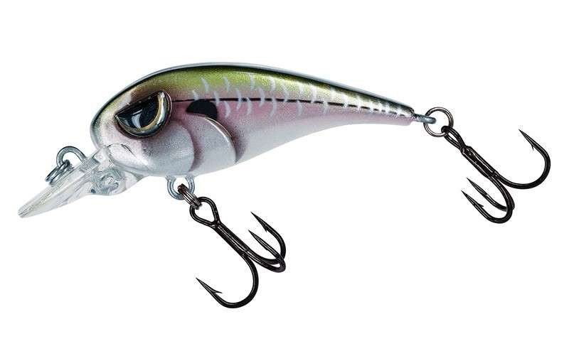 <p>What type of crankbait is this?</p>