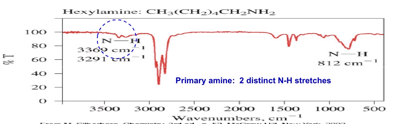 <p>Primary amine</p>