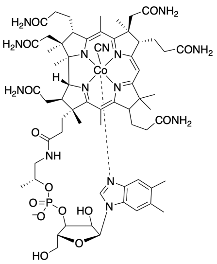 <p></p>