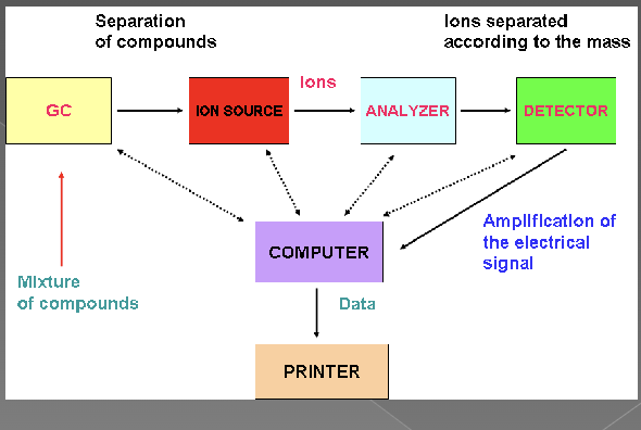 <ul><li><p>gas mobile phase</p></li><li><p>complex samples separated in column</p></li><li><p>each component enters mass analyzer where it’s fragmented into unique and repeatable pattern </p></li></ul><p></p>