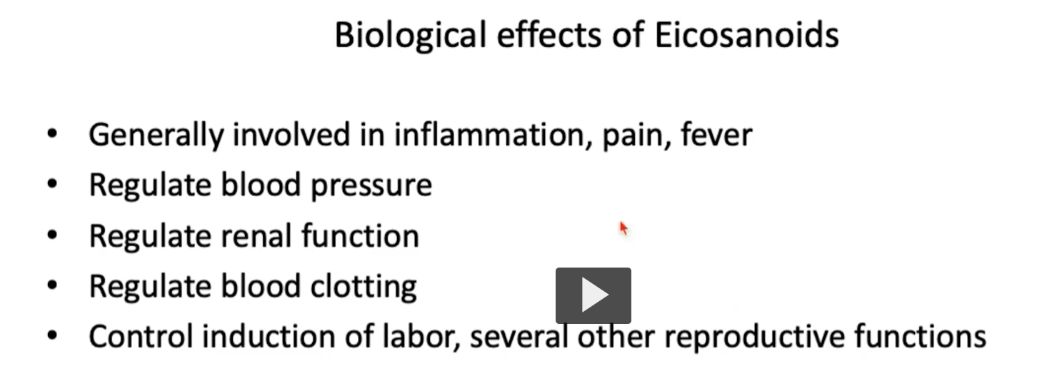 <p><strong>Biological effects of Eicosanoids (overall)</strong></p><p>• Generally involved in inflammation, pain, fever</p><p>• Regulate blood pressure</p><p>• Regulate renal function</p><p>• Regulate blood clotting</p><p>• Control induction of labor, several other reproductive functions</p>