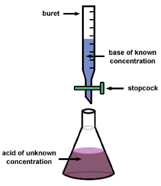 <ul><li><p>Titrations are a way of measuring the amount of a reactant needed to consume another unknown reactant</p><ul><li><p>Uses a buret to measure the amount of reactant</p></li><li><p>Often used for Acid/Base and Redox Reactions</p><ul><li><p>Color Indicators are used to determine the endpoint of the reaction</p></li></ul></li></ul></li></ul><p></p>