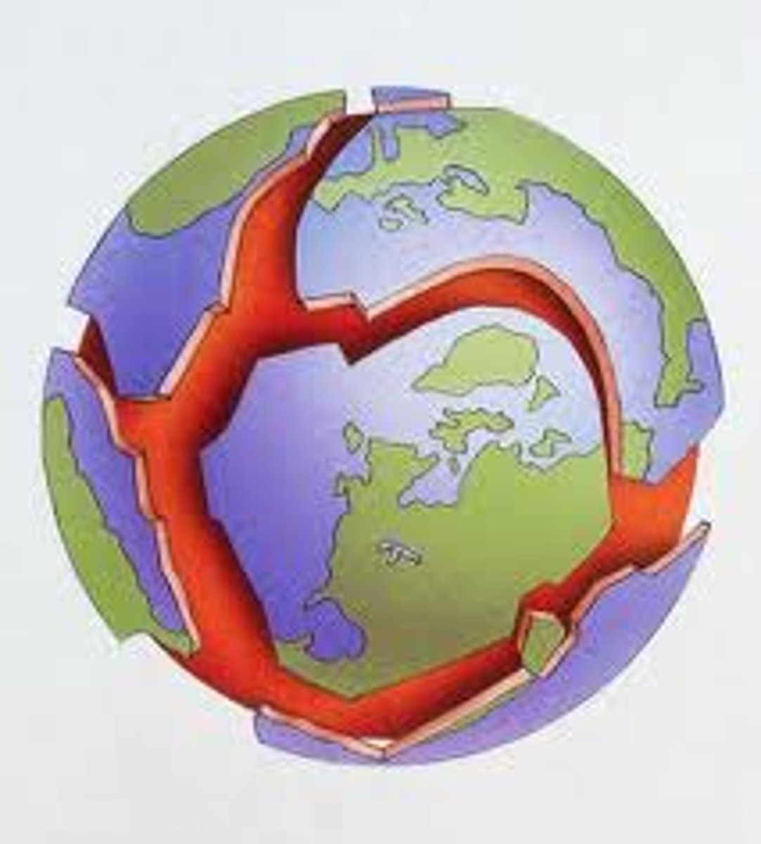 <p>Sections of the Earth's crust that move due to convection currents.</p>