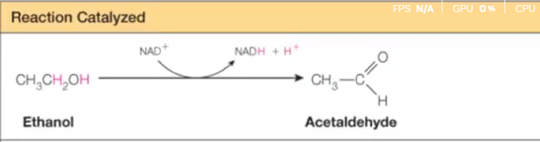 <p><strong>Answer:</strong> Catalyze oxidation-reduction reactions (transfer electrons or hydrogen).<br><strong>Example:</strong> Alcohol dehydrogenase</p>