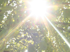 <p>amazed or overwhelmed by a spectacular display. e.g. I was dazzled by the sunlight.</p>