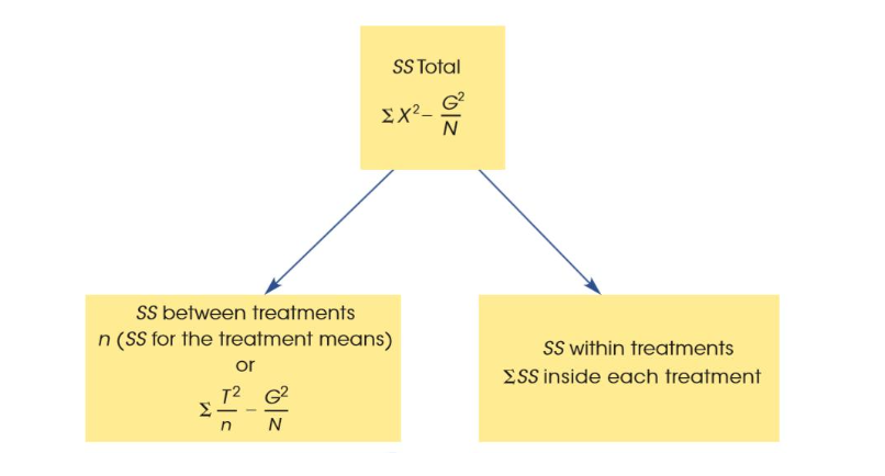 <p>SStotal = sum X² - G2 / N</p><p class="p1">df total = N – 1</p><p class="p2"><strong>Numerator</strong></p><p class="p3">SSbetween treatments = sum (T² / n) - (G² / N)</p><p class="p3">dfbetween treatments = k − 1</p><ul><li><p class="p3">thats it for the numerator</p></li></ul><p class="p3"><strong>Denominator</strong></p><p class="p3">SSwithin treatments = sum SS inside each treatment</p><p class="p3">dfwithin treatments = sum df inside each treatment</p><p class="p4"></p><p class="p4"></p>