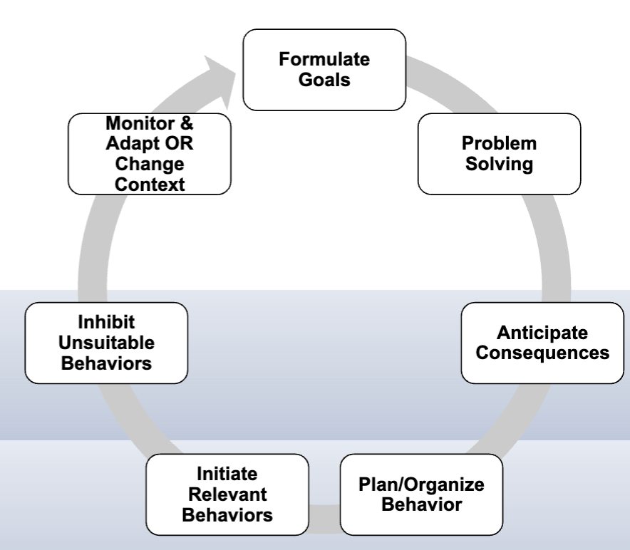 <p>integrative cognitive processes that manage goal-directed, purposeful, and adaptive behavior; higher-order functions in non-routine situations (novel, conflicting, complex)</p><ul><li><p>oversees basic processes: attention, memory, behavior, emotion</p></li><li><p>development of metacognition processes (self-monitoring, error awareness, insight)</p></li></ul><p></p><p>common issues: fail to comprehend goal, plan, oversimplify task, recognize errors, poor execution, reject complexity of task</p><p></p><p></p><p></p>